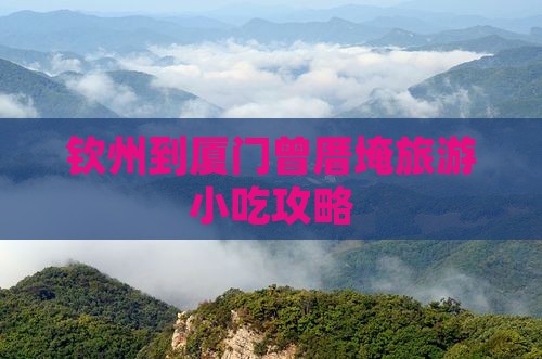 钦州到厦门曾厝埯旅游小吃