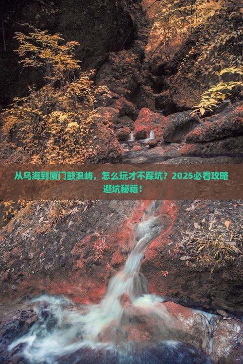 乌海市去厦门鼓浪屿哪里玩
