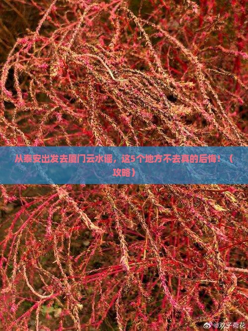 泰安去厦门云水谣必去地