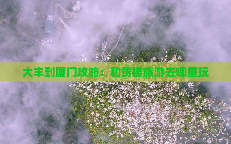 大丰到厦门和贵楼哪里玩