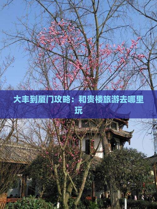 大丰到厦门和贵楼哪里玩