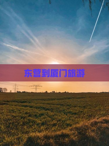 东营到厦门旅游