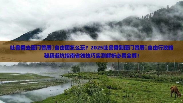 吐鲁番去厦门曾厝埯自由团