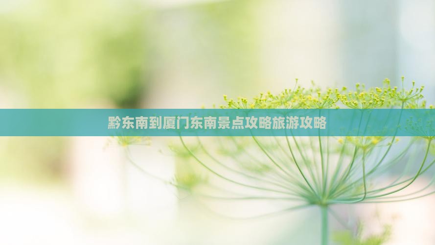黔东南到厦门毓园攻略