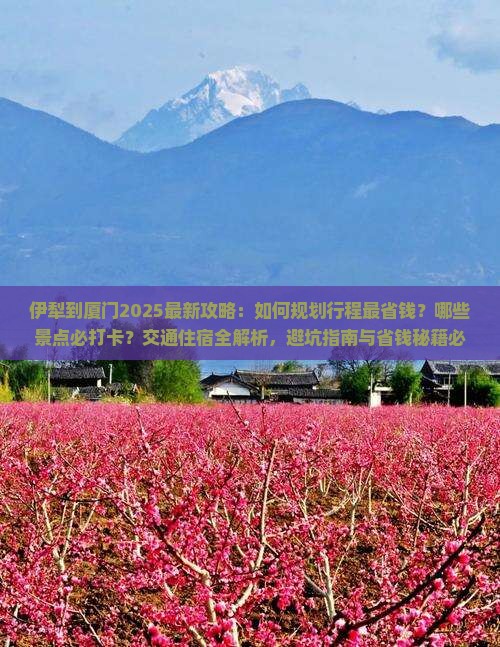 伊犁到厦门攻略