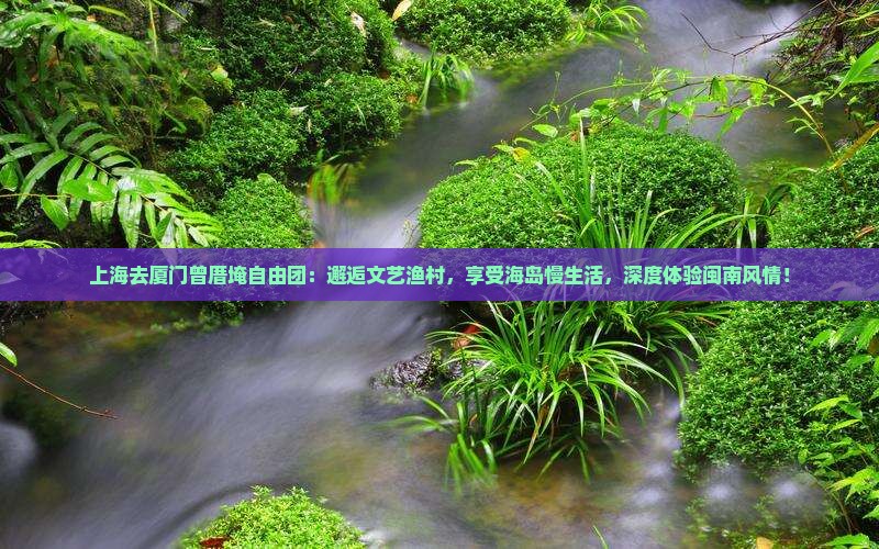上海去厦门曾厝埯自由团
