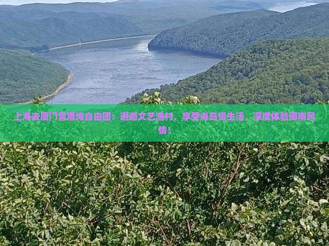 上海去厦门曾厝埯自由团