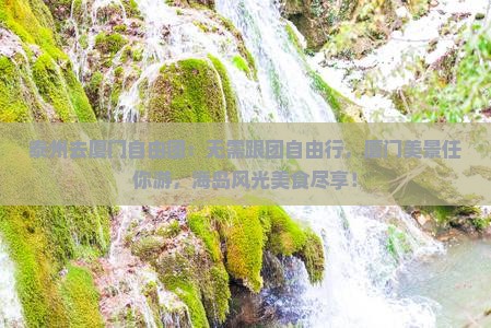 泰州去厦门自由团