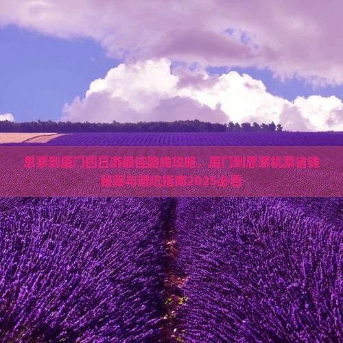 思茅到厦门四日游