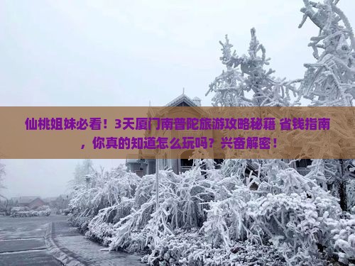 仙桃到厦门南普陀旅游
