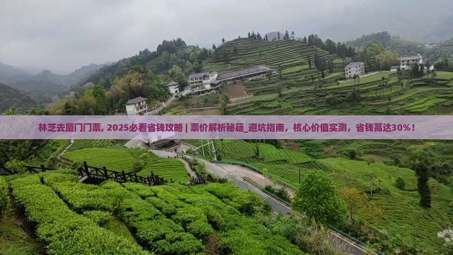 林芝去厦门门票