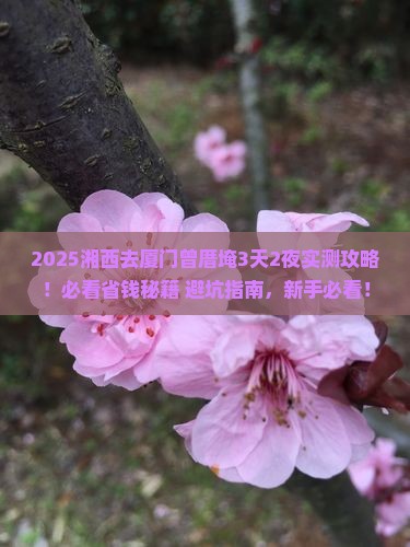湘西去厦门曾厝埯攻略