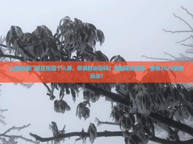山南到厦门菽庄花园个人游
