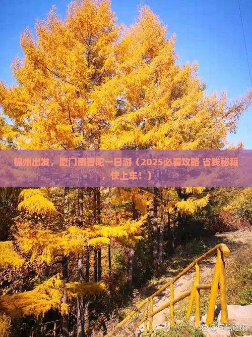 锦州到厦门南普陀一日