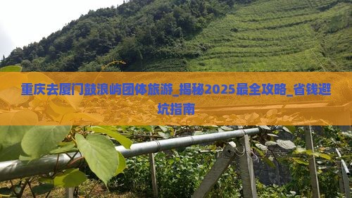 重庆去厦门鼓浪屿团体旅游