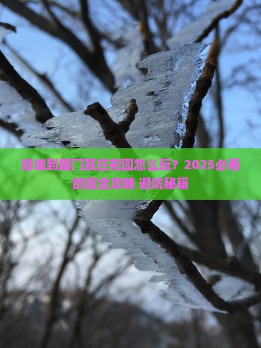 塔城到厦门菽庄花园旅行社