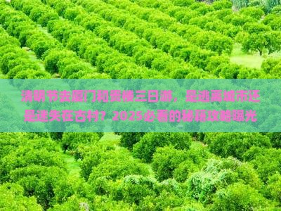 清明节去厦门和贵楼三日游