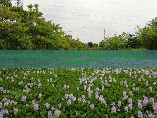 台州去厦门毓园哪里玩