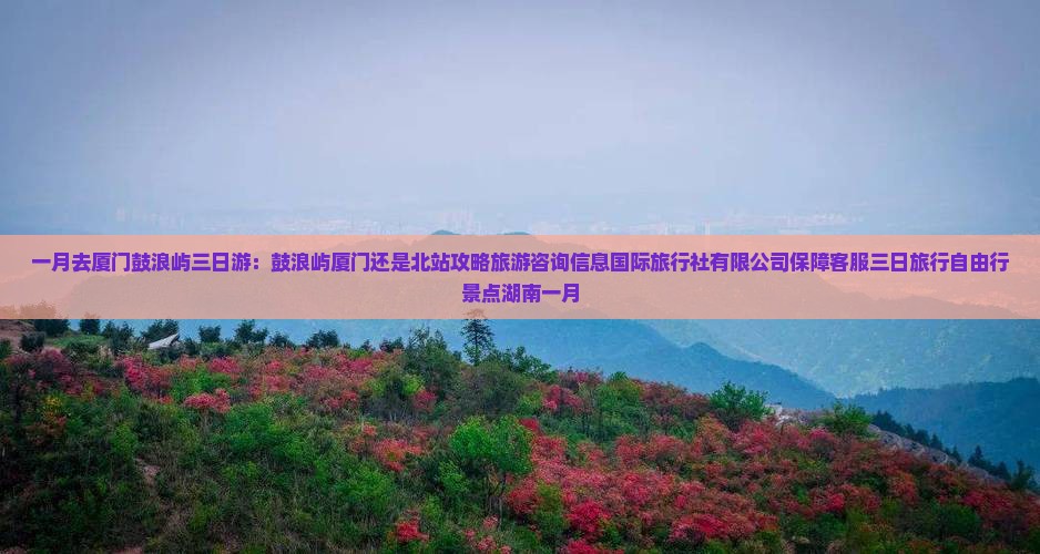 一月去厦门鼓浪屿三日游