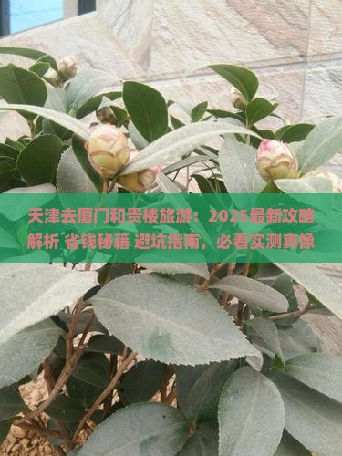 天津去厦门和贵楼旅游