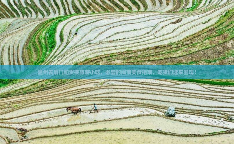 温州去厦门和贵楼旅游小吃