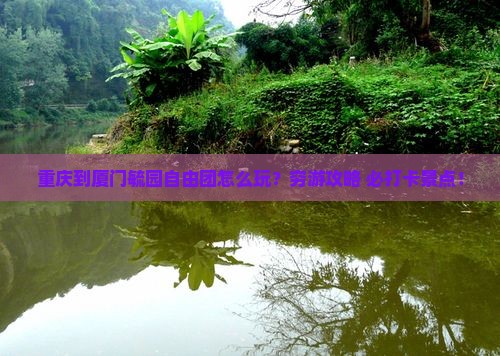 重庆到厦门毓园自由团 重庆到厦门毓园自由团