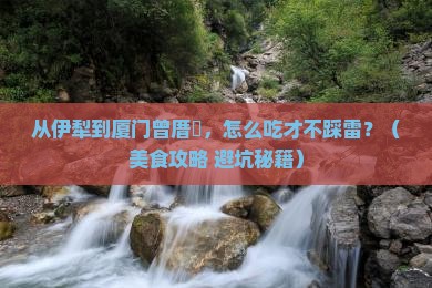 伊犁去厦门曾厝埯旅游小吃
