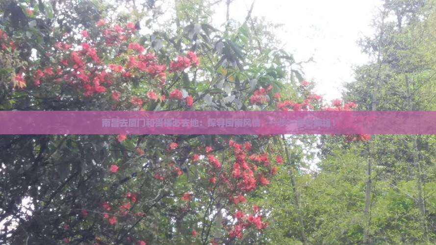 南昌去厦门和贵楼必去地