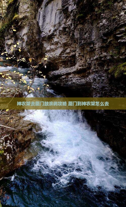 神农架去厦门鼓浪屿攻略