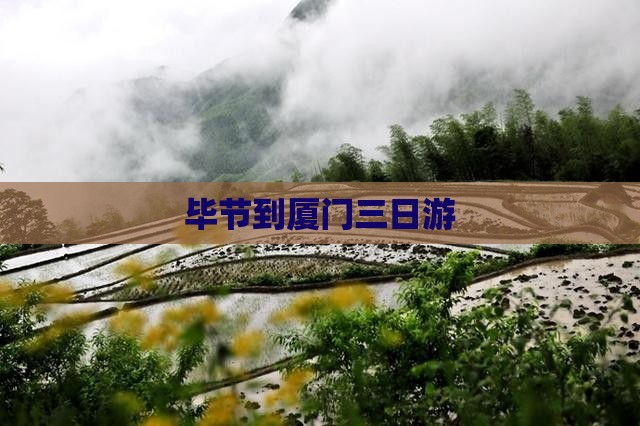 毕节到厦门三日游