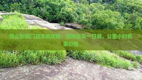保山到厦门鼓浪屿攻略