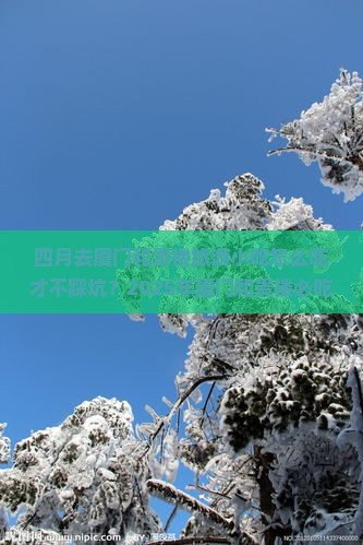 四月去厦门和贵楼旅游小吃
