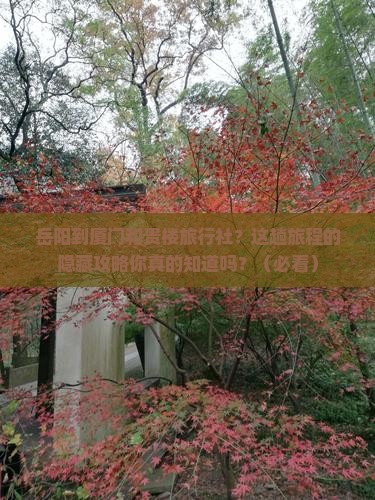 岳阳到厦门和贵楼旅行社