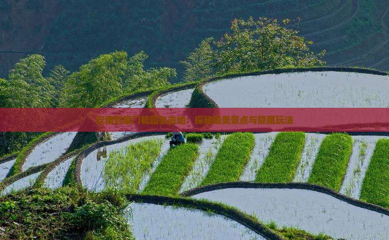 安康到厦门毓园必去地
