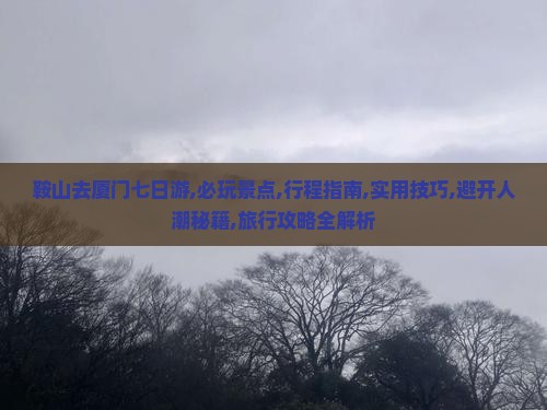 鞍山去厦门七日游