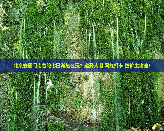 北京去厦门南普陀七日游