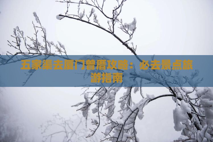 五家渠去厦门曾厝埯自由行