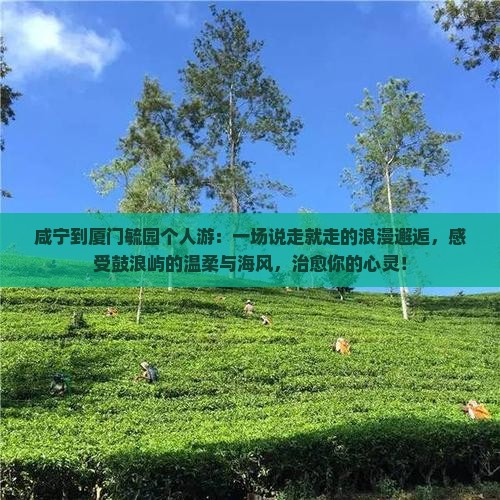 咸宁到厦门毓园个人游