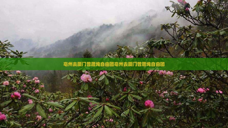 亳州去厦门曾厝埯自由团