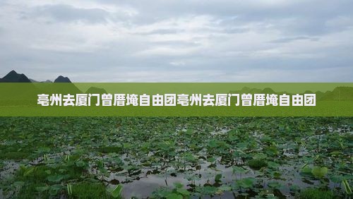 亳州去厦门曾厝埯自由团