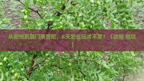 衢州去厦门南普陀六日游
