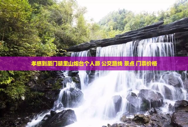 孝感到厦门胡里山炮台个人游