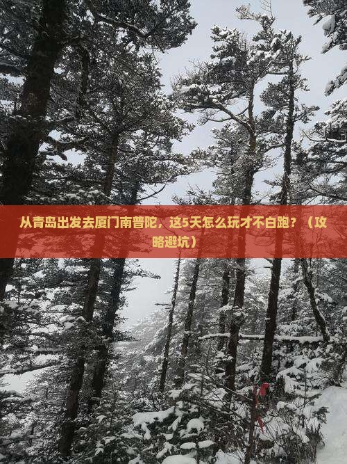 青岛去厦门南普陀景点