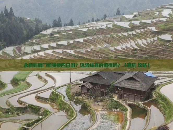 永新到厦门和贵楼四日游