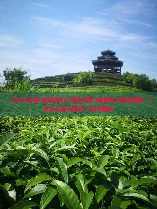贵港去厦门南普陀大型旅游团