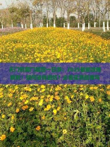 天门到厦门毓园一日
