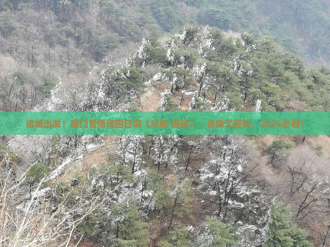 诸城去厦门曾厝埯四日游