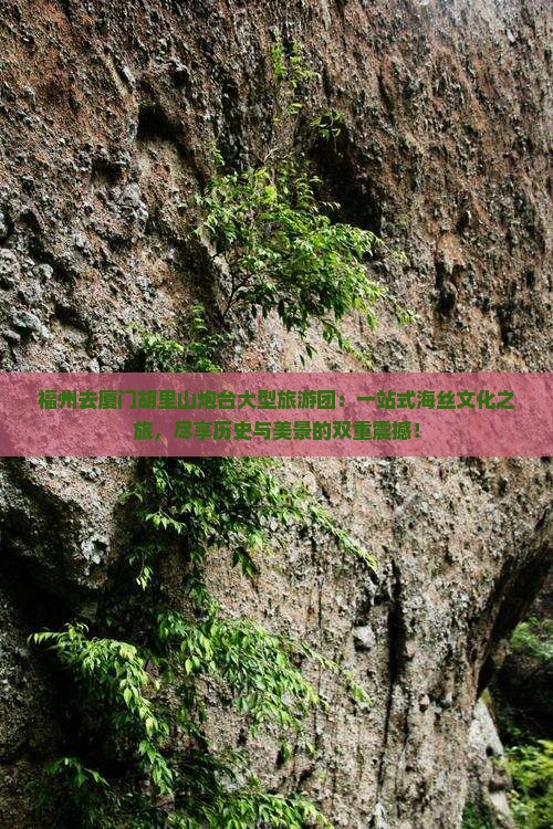 福州去厦门胡里山炮台大型旅游团