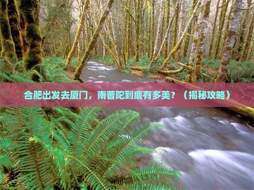 合肥到厦门南普陀景点