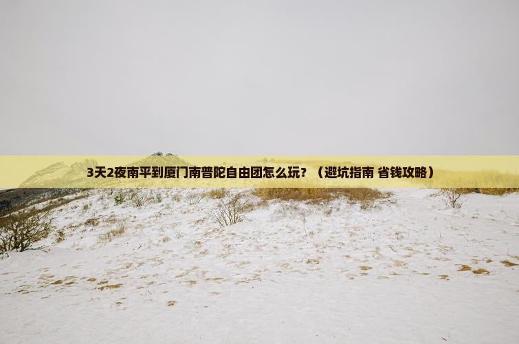 南平到厦门南普陀自由团